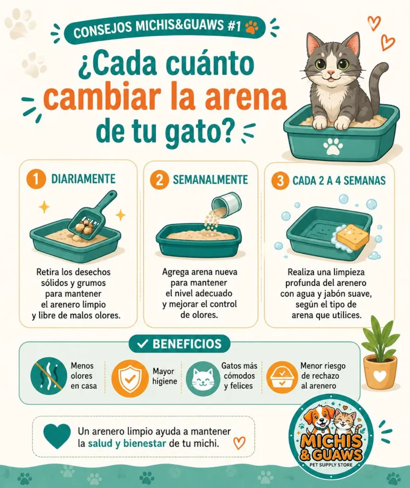 Infografía de Michis & Guaws que explica la rutina diaria, semanal y mensual para cambiar la arena del gato y sus beneficios.